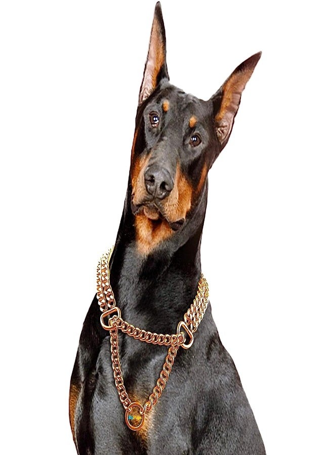 KsPups Pet Dog Fancy Choke Chain Collar, Dog Choke Chain Martingale Collar - 24 Inch for Large Dog Neckless (Gold Color, 2 Layer) - Image 1
